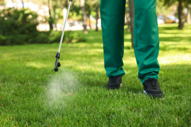 Best Mosquito Control Services  in Monroeville, PA