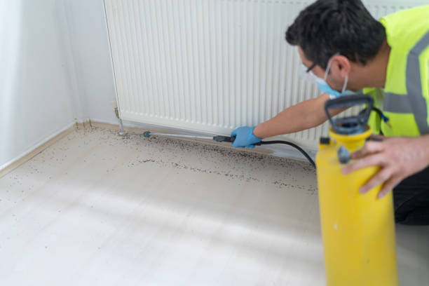 Best Exterminator Services  in Monroeville, PA