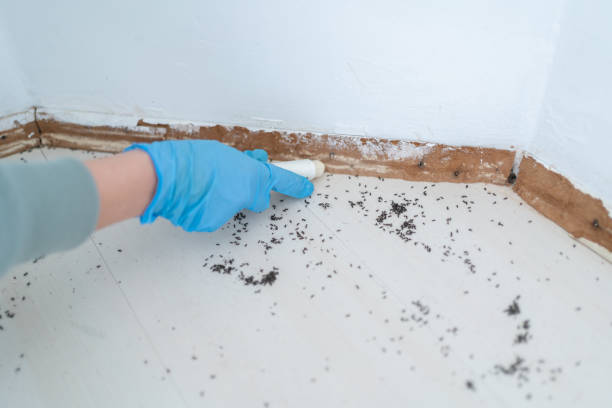 Trusted Monroeville, PA Pest Control Experts