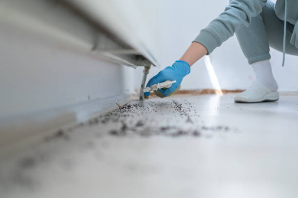 Best Wasp Removal Services  in Monroeville, PA