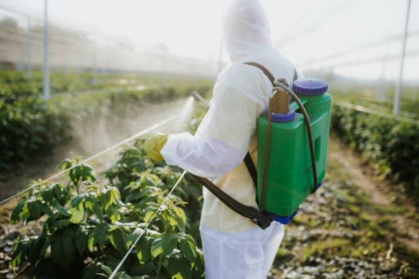 Best Pest Control Treatment  in Monroeville, PA